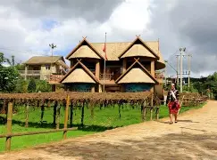 西盟实力雄厚,接连击败强手夺得金牌 西盟实力雄厚,接连击败强手夺得金牌