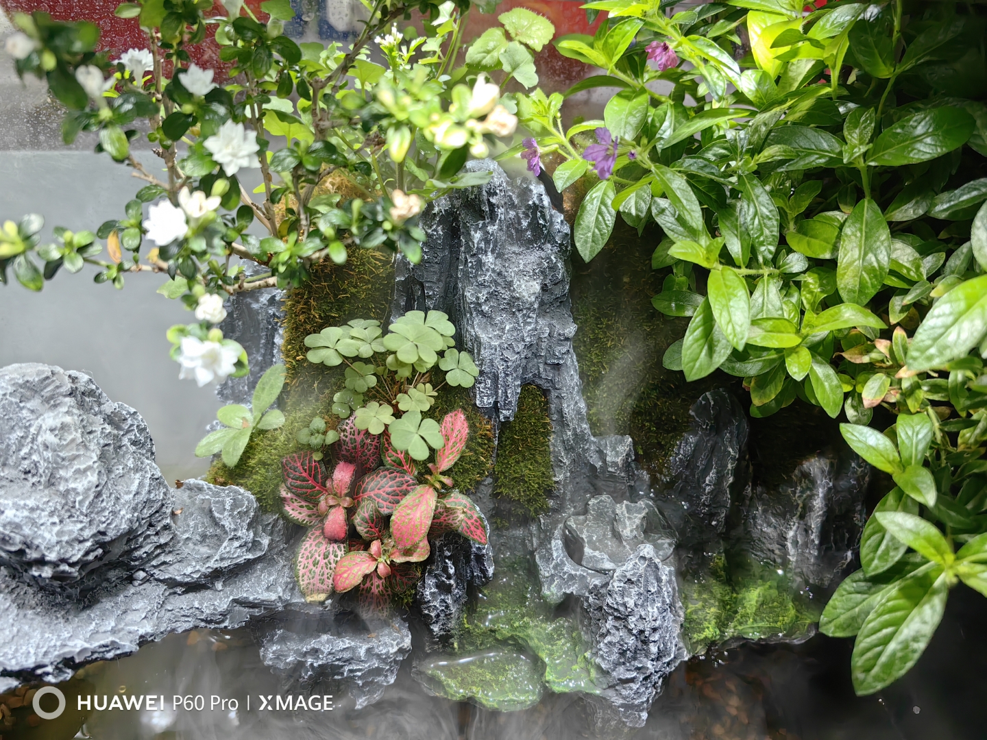 FB体育娱乐-娃娃小树堂铁渃偶山态石头青石