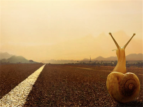 佛罗伦萨欲取胜利，克服困难