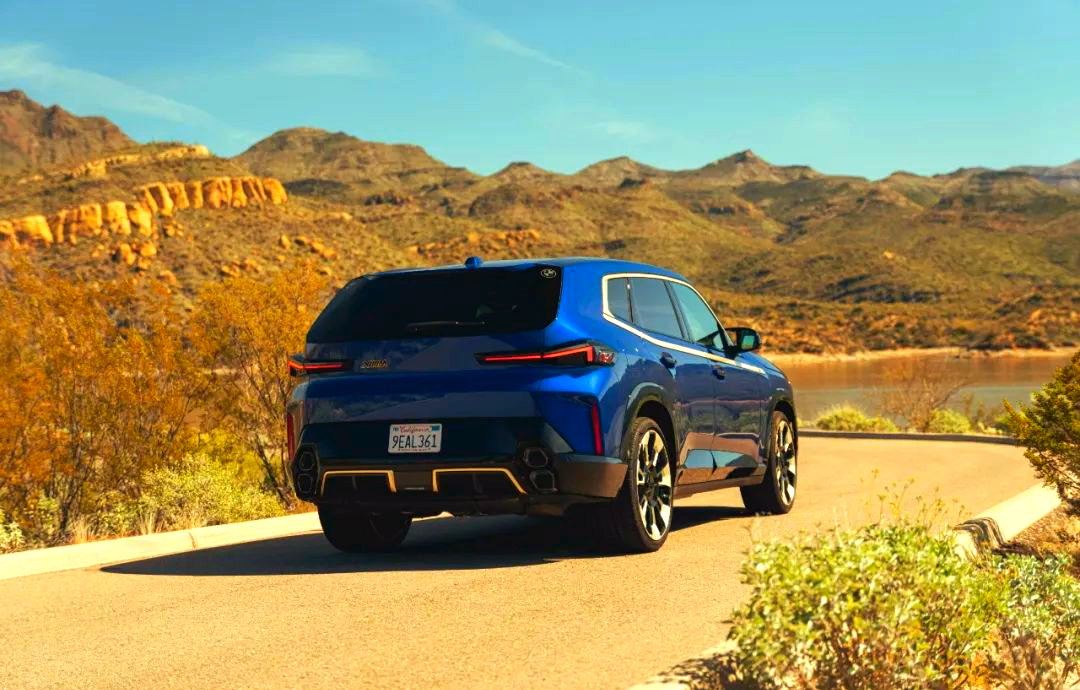 关于凯泽斯劳滕顶替主力，表现抢眼的信息